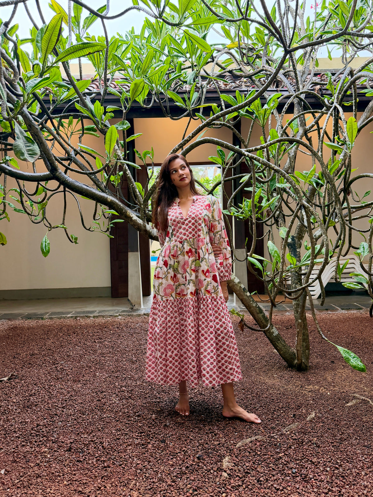 Aurelia - Mecuria Collection